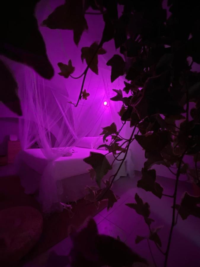 Ga #124 Home باري المظهر الخارجي الصورة
